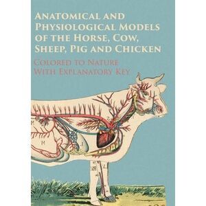 Anatomical and Physiological Models of the Horse, Cow, Sheep, Pig and Chicken -